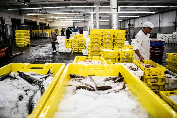 Les faits marquants de l'industrie alimentaire